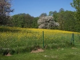 Grundstück2Mai08.jpg